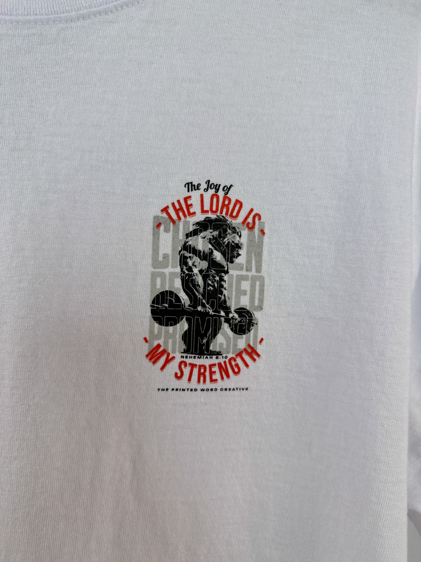 The Joy of The Lord - Heavyweight Street Tee